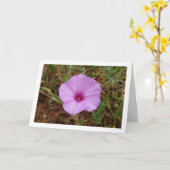ムラサキアサガオ、ワスレナグサの野の花 カード (黄色い花)