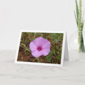 ムラサキアサガオ、ワスレナグサの野の花 カード (正面)