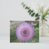 ムラサキアザミ ポストカード (スタンド正面)