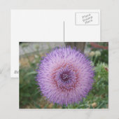 ムラサキアザミ ポストカード (正面/裏面)