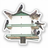 ムラサキアメリカツバメの巣箱 シール (正面)