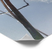 ムラサキクサの種子と莢 ポスター (角)