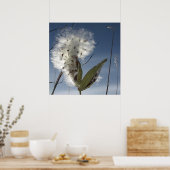 ムラサキクサの種子と莢 ポスター (キッチン)