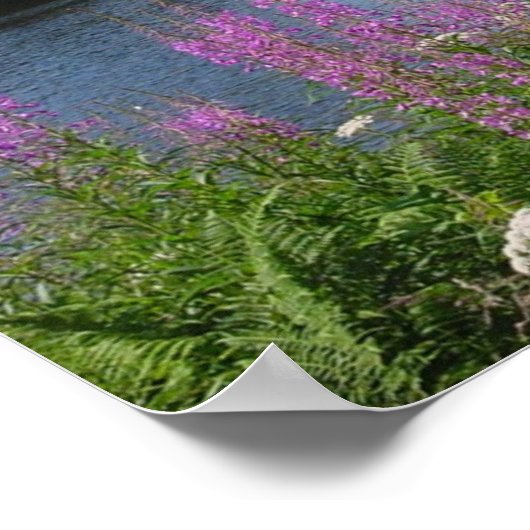 ムラサキクサ ポスター (角)