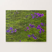 ムラサキソウの花畑 ジグソーパズル (横)
