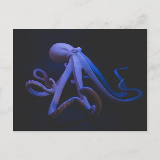 ムラサキタコ ポストカード (正面)