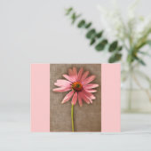 ムラサキツネ花 ポストカード (スタンド正面)