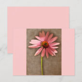 ムラサキツネ花 ポストカード (正面/裏面)