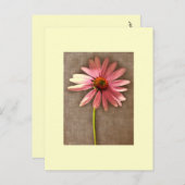 ムラサキツネ花 ポストカード (正面/裏面)