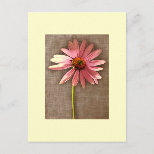 ムラサキツネ花 ポストカード (正面)