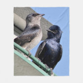 ムラサキツバメの仲間 フリースブランケット (正面)