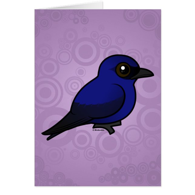 ムラサキツバメ (正面)