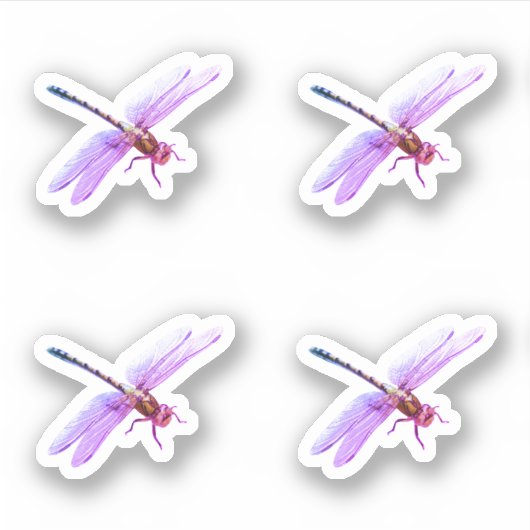 ムラサキドリ シール (正面)