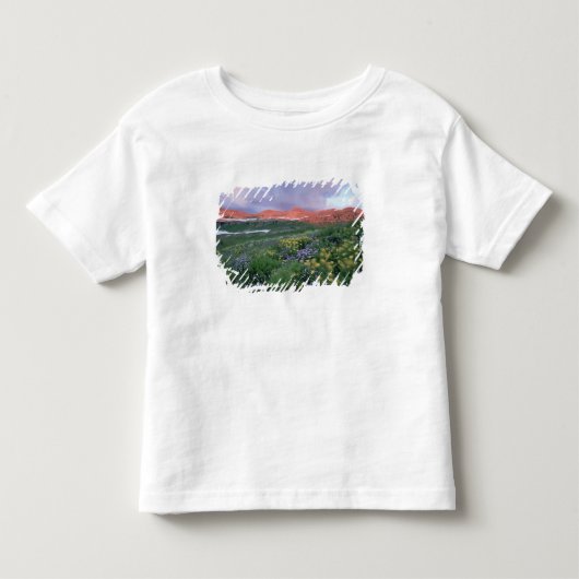 ムラサキノコリバナ(erigeron+peregrinus)と黄色 トドラーTシャツ (正面)