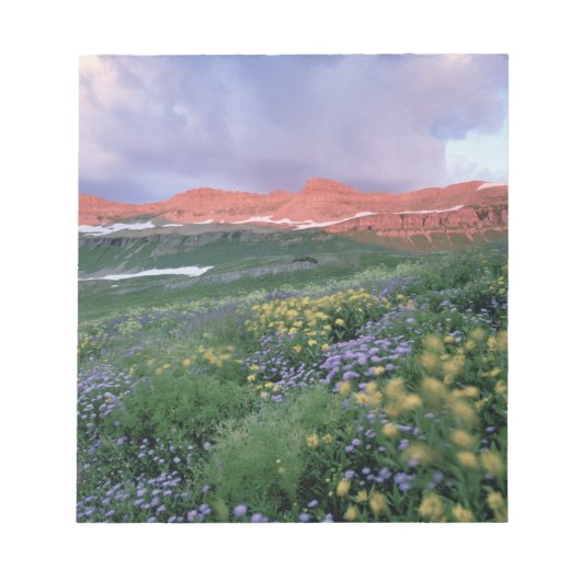 ムラサキノコリバナ(erigeron+peregrinus)と黄色 ノートパッド (正面)