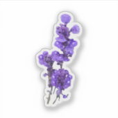 ムラサキノサルビアの花 シール (正面)