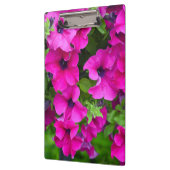 ムラサキペチュニア クリップボード (左)