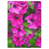 ムラサキペチュニア クリップボード (裏面)