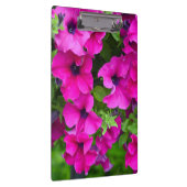 ムラサキペチュニア クリップボード (右)