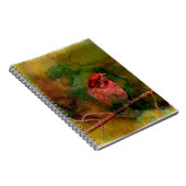 ムラサキマシコ ノートブック (右側)