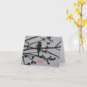 ムラサキマシコ、明るくおよび陽気 カード (黄色い花)