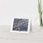 ムラサキマシコ、明るくおよび陽気 カード (裏面)