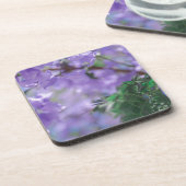 ムラサキモドキ コースター (左側)