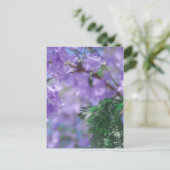 ムラサキモドキ ポストカード (スタンド正面)