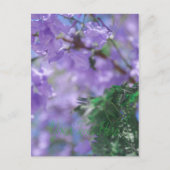 ムラサキモドキ ポストカード (正面)