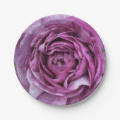 ムラサキランナキュラス ペーパープレート (正面)