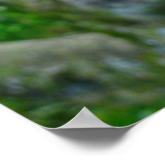 ムラサキ花 ポスター (角)