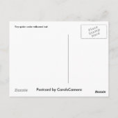 ムラサキ葉書の下のクモ ポストカード (裏面)