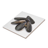 ムラサキ貝 タイル (側面)