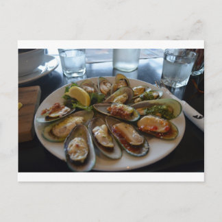 ムラサキ貝 ポストカード