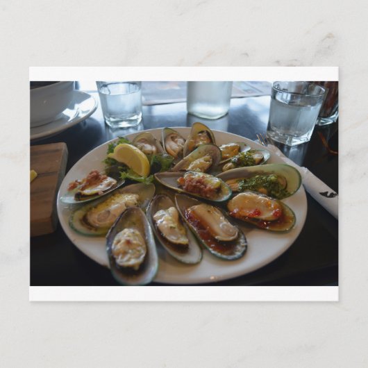 ムラサキ貝 ポストカード (正面)