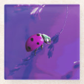 ムラサキ ガラスコースター (正面)