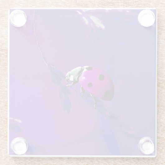 ムラサキ ガラスコースター (裏面)