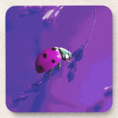 ムラサキ コースター (正面)