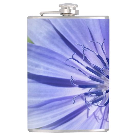 ムラサキ フラスク (正面)