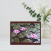 ムラサキ ポストカード (スタンド正面)