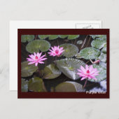 ムラサキ ポストカード (正面/裏面)