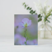 ムラサキ ポストカード (スタンド正面)