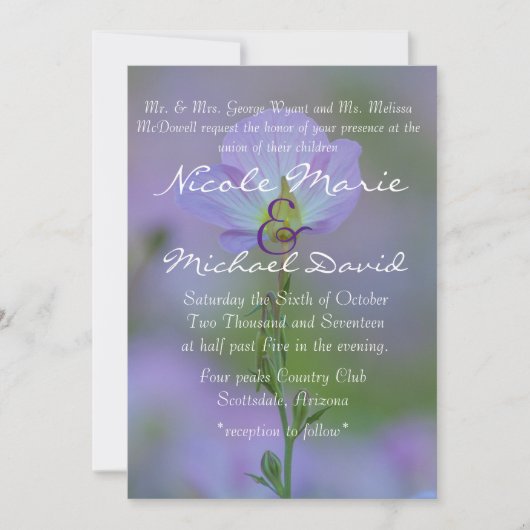 ムラサキ 招待状 (正面)