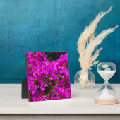 ムラサギクの花 フォトプラーク (インサイチュ)