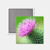 ムラサギク花磁石 マグネット (正面/裏面)