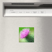 ムラサギク花磁石 マグネット (インサイチュ (食洗機))