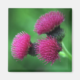 ムラサギク花磁石 マグネット