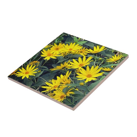 ムラサギク花 タイル (側面)