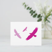 ムラサギ飛んでいるワシ ポストカード (スタンド正面)