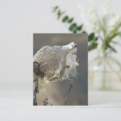 ムラサギ ポストカード (スタンド正面)